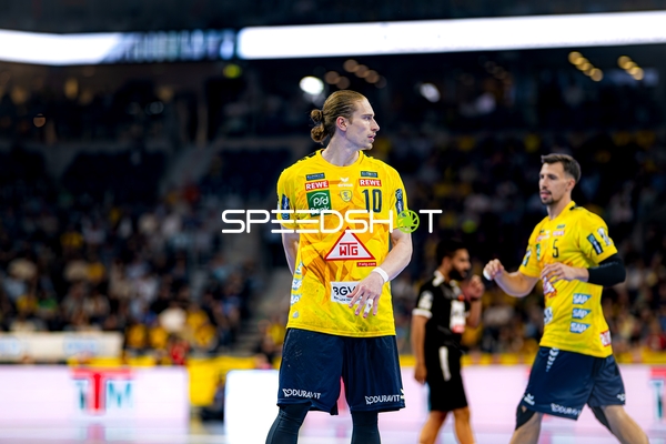 Rhein Neckar Löwen in Aktion