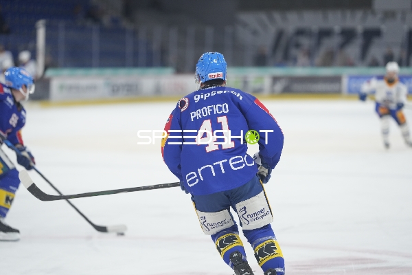 Profico mit Puck am Eis