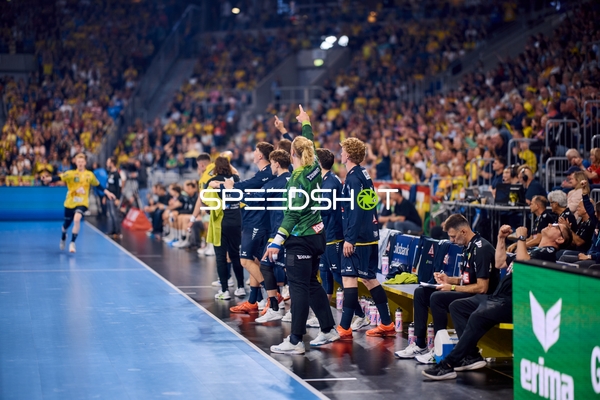 Rhein-Neckar Löwen an Seitenlinie