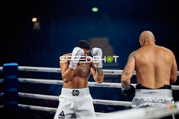 Boxer in Kampfhaltung