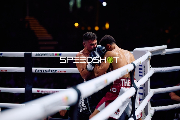 Boxer in Ringside Zone