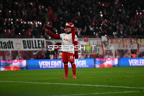 Maskottchen auf dem Spielfeld