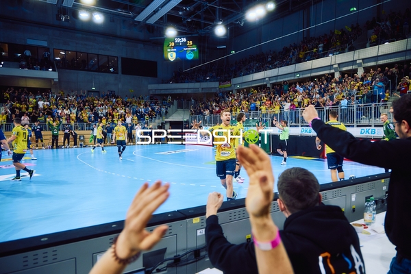 Ein Tor wird von Rhein Neckar Löwen Spielern gefeiert.