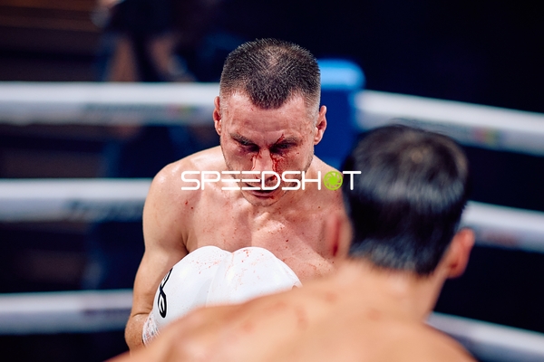 Boxer in Ringside Zone