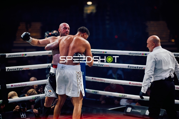 Boxer in Ringside Zone