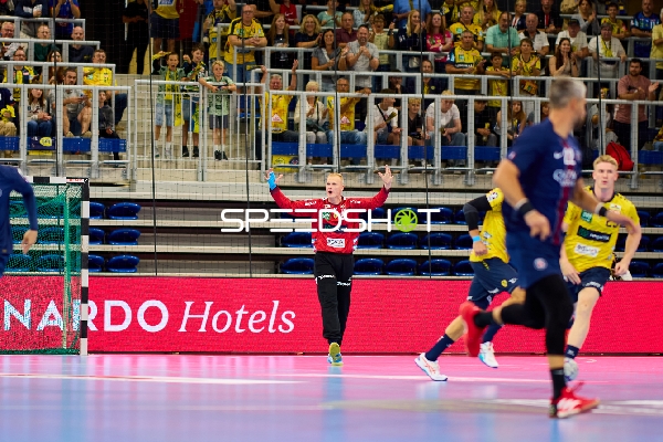 Torwart David Späth (29; Rhein Neckar Löwen) in Position