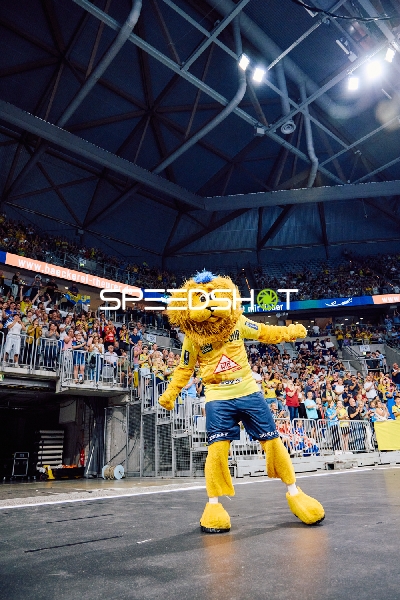 Das Maskottchen der Rhein Neckar Löwen animiert die Fans.