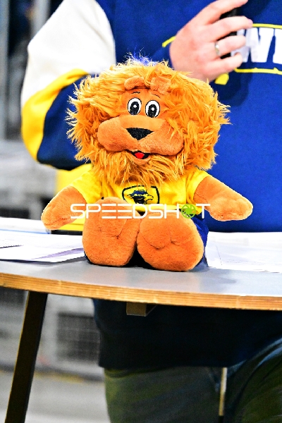 Plüschtier auf Tisch