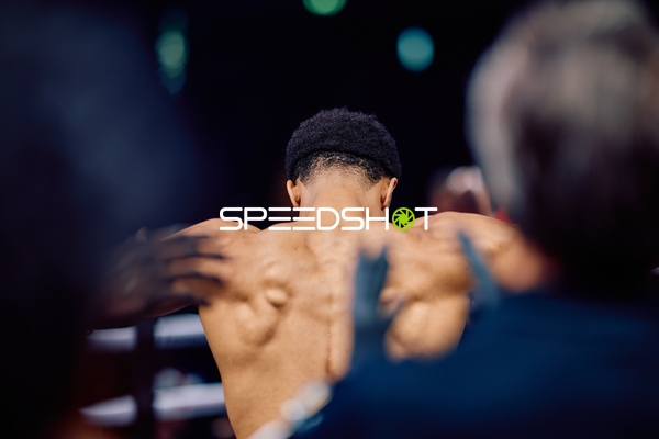 Boxer in Ringside Zone