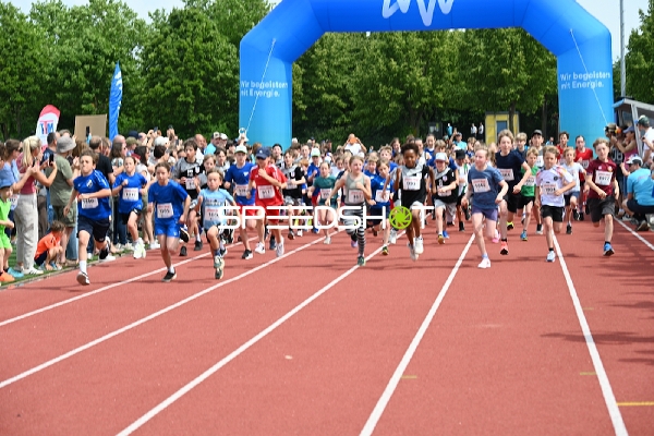 TVE Sommerlauf Edingen 2025 Start
