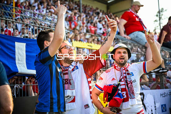 Fußball I Herren I Saison 2022-2023 I 2. Bundesliga I 34. Spieltag I SV Sandhausen 1916 - Hamburger SV I 28.05.2023 HSV Fans am Jubeln, Trauern und beten
Ort: Sandhausen, Germany
Datum: 28.05.2023