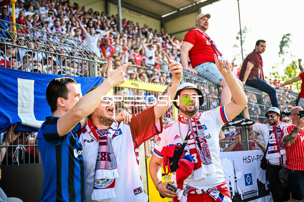 Fußball I Herren I Saison 2022-2023 I 2. Bundesliga I 34. Spieltag I SV Sandhausen 1916 - Hamburger SV I 28.05.2023 HSV Fans am Jubeln, Trauern und beten
Ort: Sandhausen, Germany
Datum: 28.05.2023