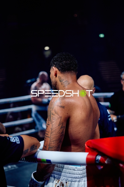 Boxer in Ringside Zone