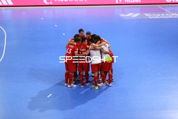 Teamkreis von Schweiz in Aktion