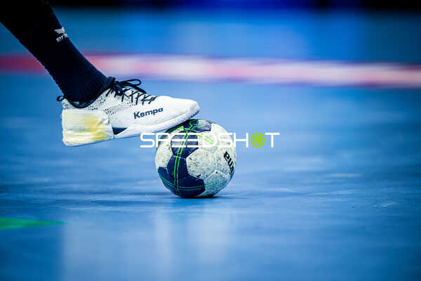Handball I Herren I Saison 2023-2024 I Liqui Moly Handballbundesliga I 15. Spieltag I Rhein-Neckar Löwen - TBV Lemgo Lippe I 09.12.2023