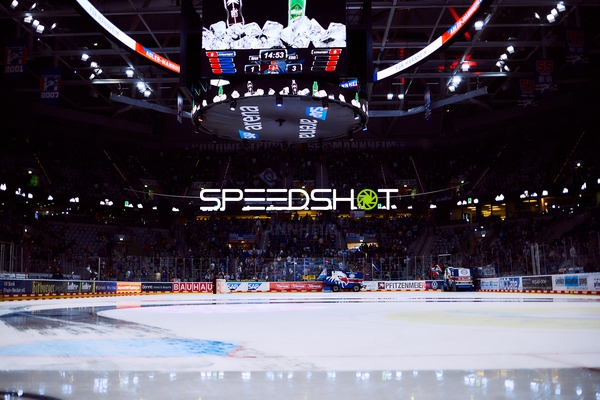 Spiel in der SAP Arena: Adler gegen Eisbären