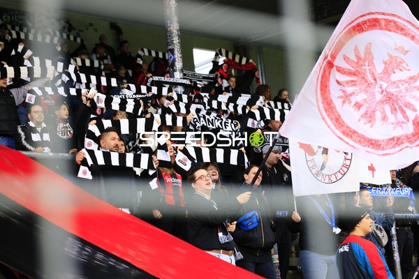 Fans feiern im Stadion