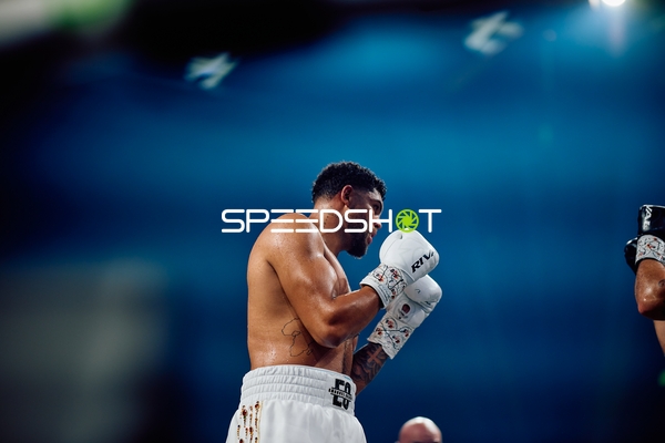 Boxer in Ringside Zone