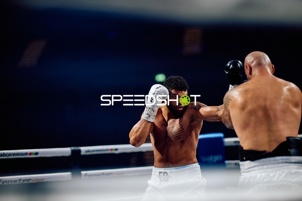 Boxer in Ringside Zone