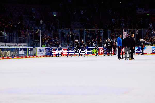 Adler Mannheim vs Schwenninger Wild Wings | 19.01.2024