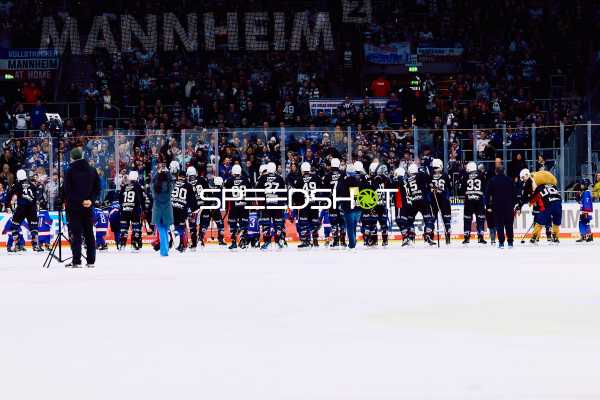 Adler Mannheim vs Schwenninger Wild Wings | 19.01.2024