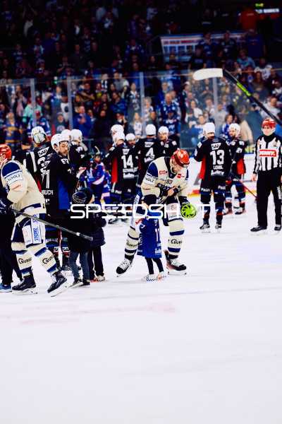 Adler Mannheim vs Schwenninger Wild Wings | 19.01.2024