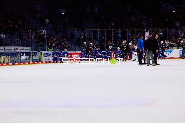 Adler Mannheim vs Schwenninger Wild Wings | 19.01.2024
