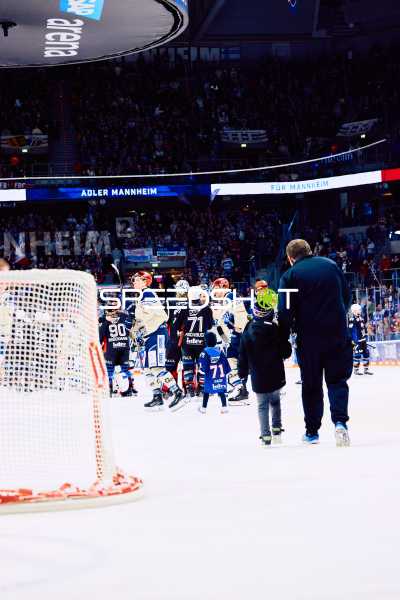 Adler Mannheim vs Schwenninger Wild Wings | 19.01.2024