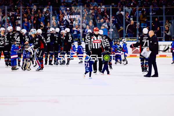 Adler Mannheim vs Schwenninger Wild Wings | 19.01.2024