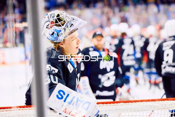 Adler Mannheim vs Schwenninger Wild Wings | 19.01.2024