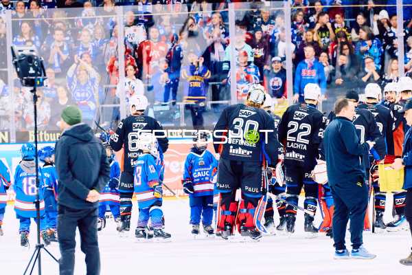 Adler Mannheim vs Schwenninger Wild Wings | 19.01.2024