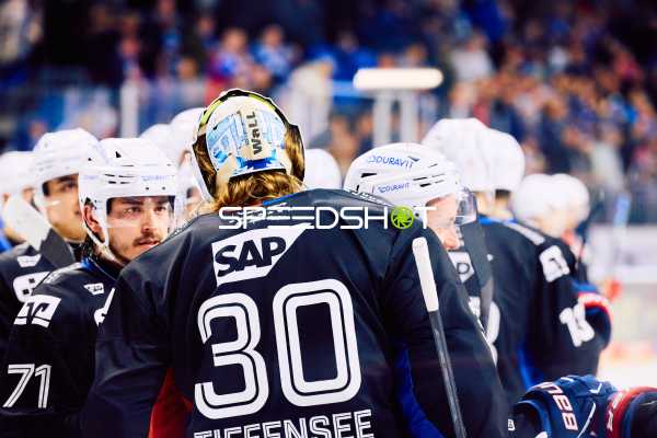 Adler Mannheim vs Schwenninger Wild Wings | 19.01.2024