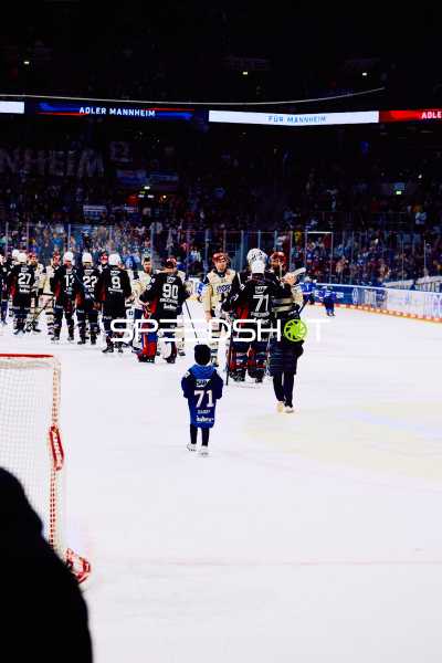 Adler Mannheim vs Schwenninger Wild Wings | 19.01.2024