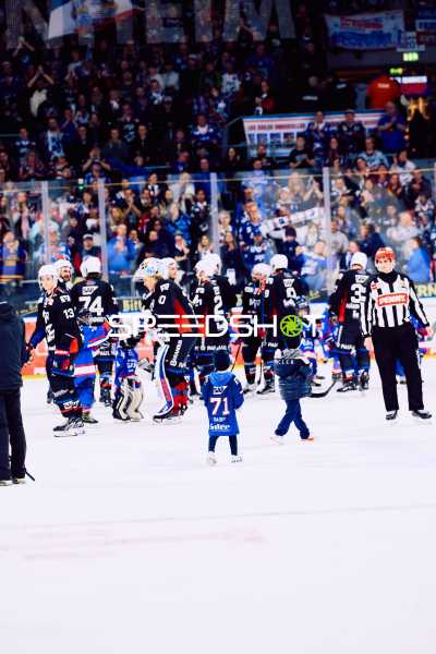 Adler Mannheim vs Schwenninger Wild Wings | 19.01.2024