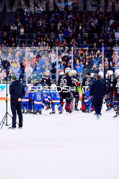 Adler Mannheim vs Schwenninger Wild Wings | 19.01.2024