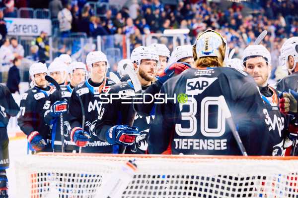 Adler Mannheim vs Schwenninger Wild Wings | 19.01.2024