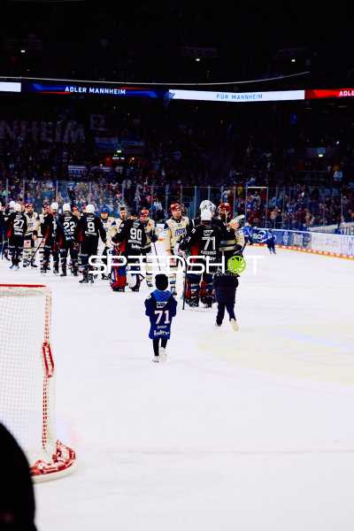 Adler Mannheim vs Schwenninger Wild Wings | 19.01.2024