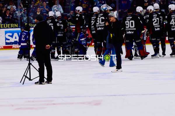 Adler Mannheim vs Schwenninger Wild Wings | 19.01.2024
