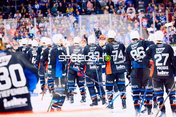 Adler Mannheim vs Schwenninger Wild Wings | 19.01.2024