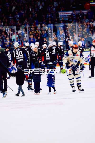 Adler Mannheim vs Schwenninger Wild Wings | 19.01.2024