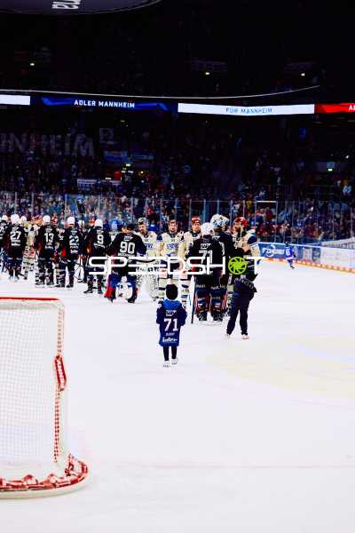 Adler Mannheim vs Schwenninger Wild Wings | 19.01.2024