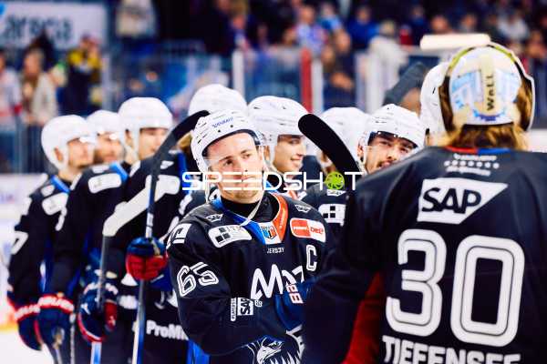 Adler Mannheim vs Schwenninger Wild Wings | 19.01.2024