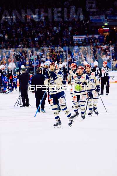 Adler Mannheim vs Schwenninger Wild Wings | 19.01.2024