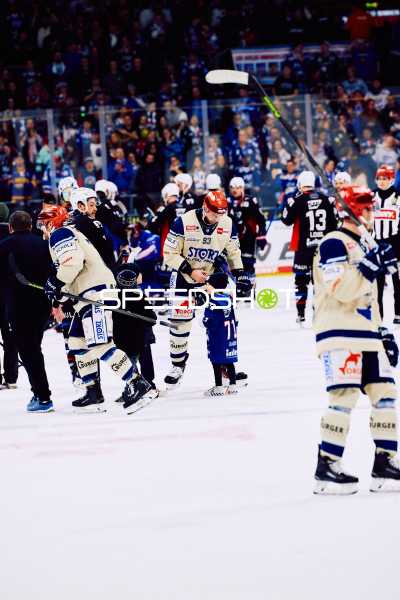 Adler Mannheim vs Schwenninger Wild Wings | 19.01.2024