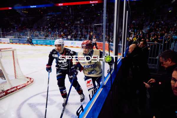 Adler Mannheim vs Schwenninger Wild Wings | 19.01.2024