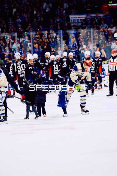 Adler Mannheim vs Schwenninger Wild Wings | 19.01.2024