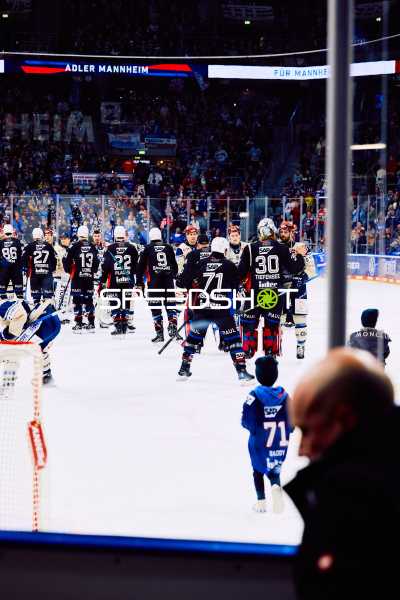 Adler Mannheim vs Schwenninger Wild Wings | 19.01.2024