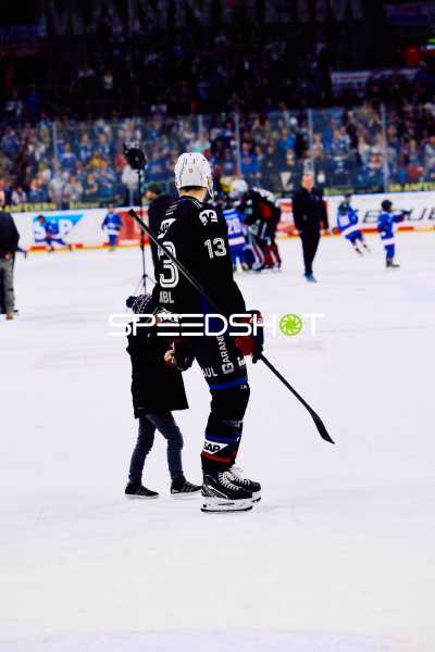Adler Mannheim vs Schwenninger Wild Wings | 19.01.2024