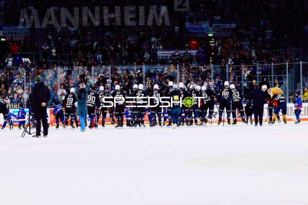 Adler Mannheim vs Schwenninger Wild Wings | 19.01.2024