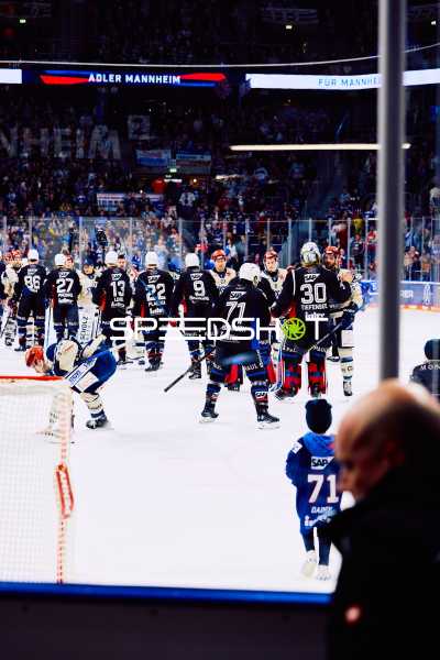 Adler Mannheim vs Schwenninger Wild Wings | 19.01.2024